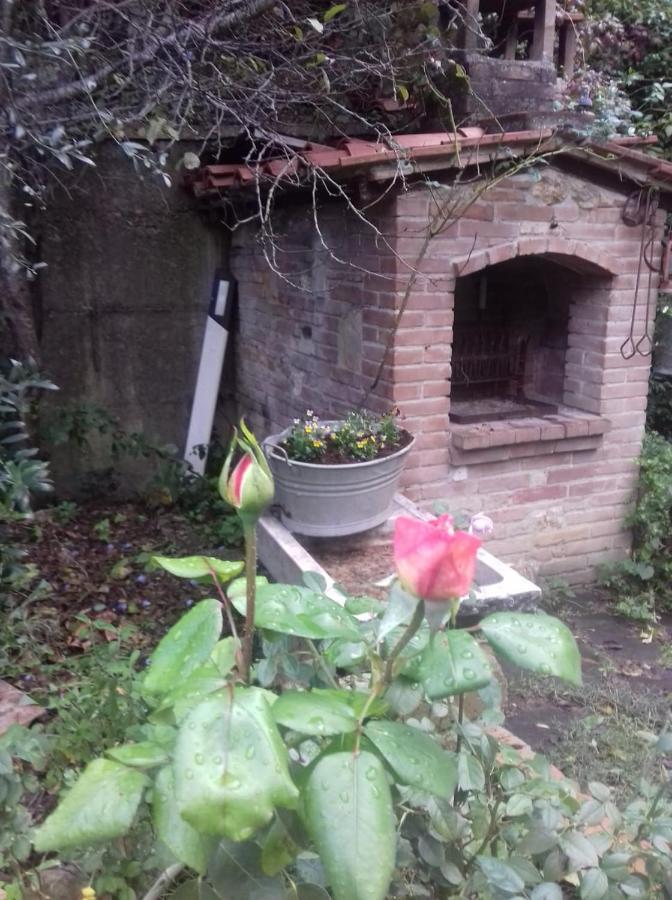 Casa Patti Alle Porte Di Siena Exteriér fotografie