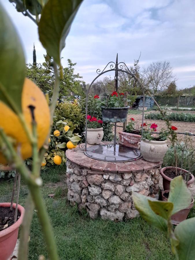 Casa Patti Alle Porte Di Siena Exteriér fotografie