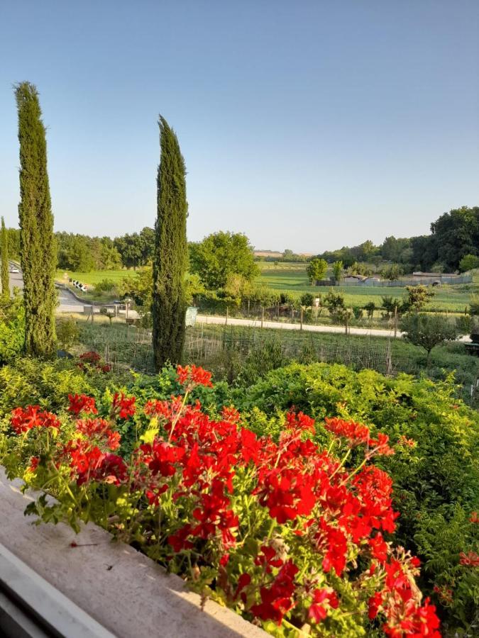 Casa Patti Alle Porte Di Siena Exteriér fotografie